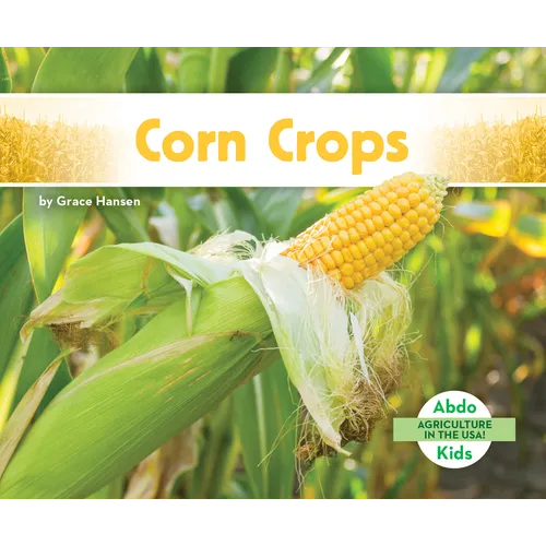 Corn Crops