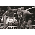 The Boxing Register: International Boxing Hall of Fame Official Record Book